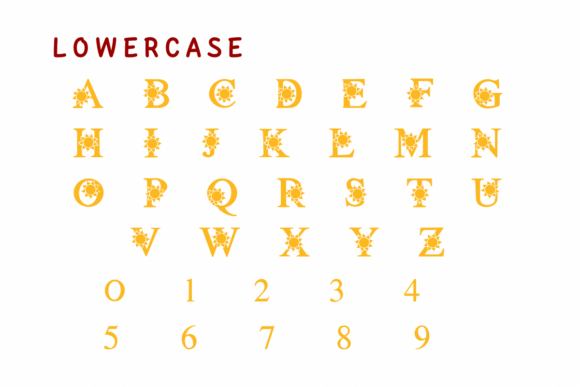 Hawaii Summer Font - Preview 2