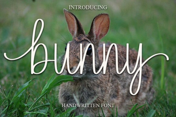 Bunny