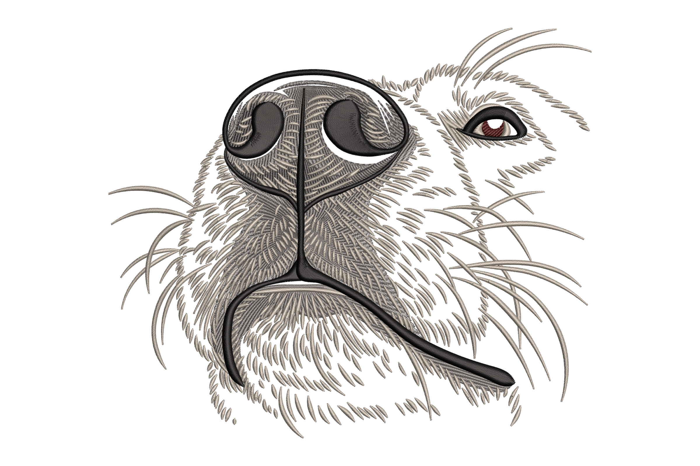 Close-Up Dog Nose