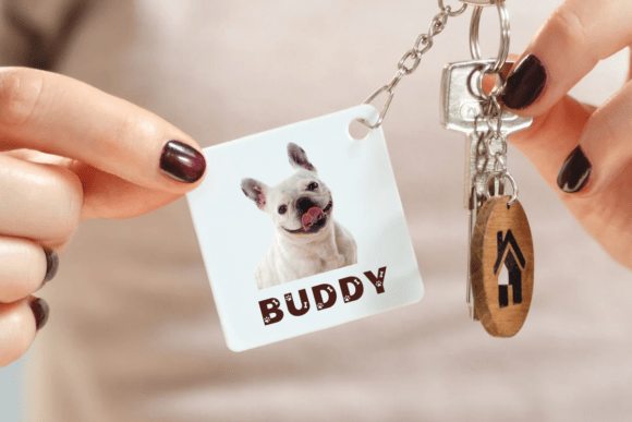 Dog Font - Preview 2