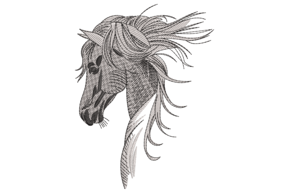 Sketch Style Horse Head