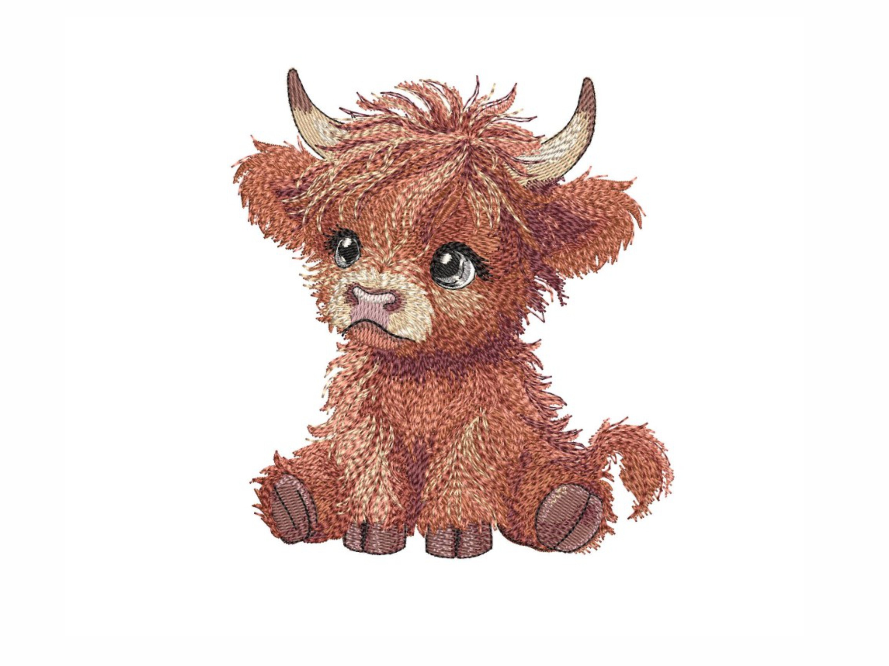 Baby Highland Cow