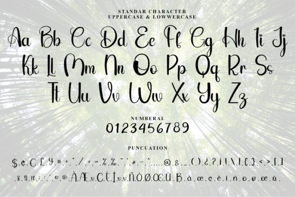 Owl Font PNG with transparent background - Preview 3