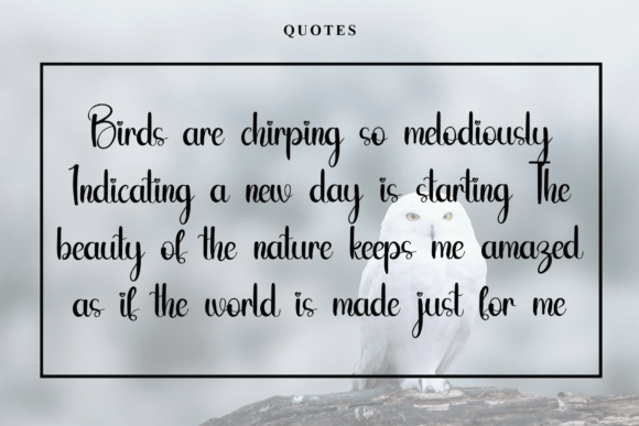 Owl Font PNG with transparent background - Preview 5