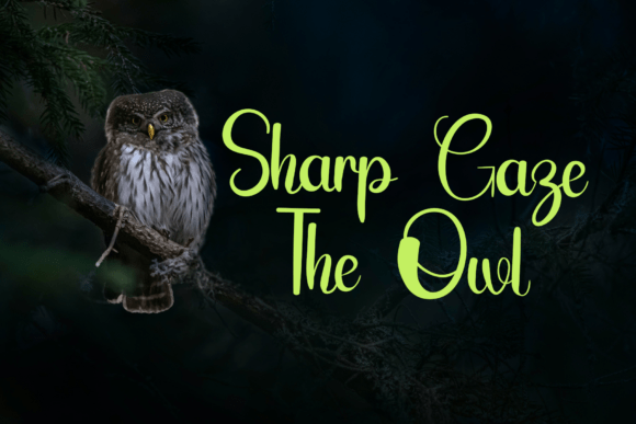Owl Font PNG with transparent background - Preview 6