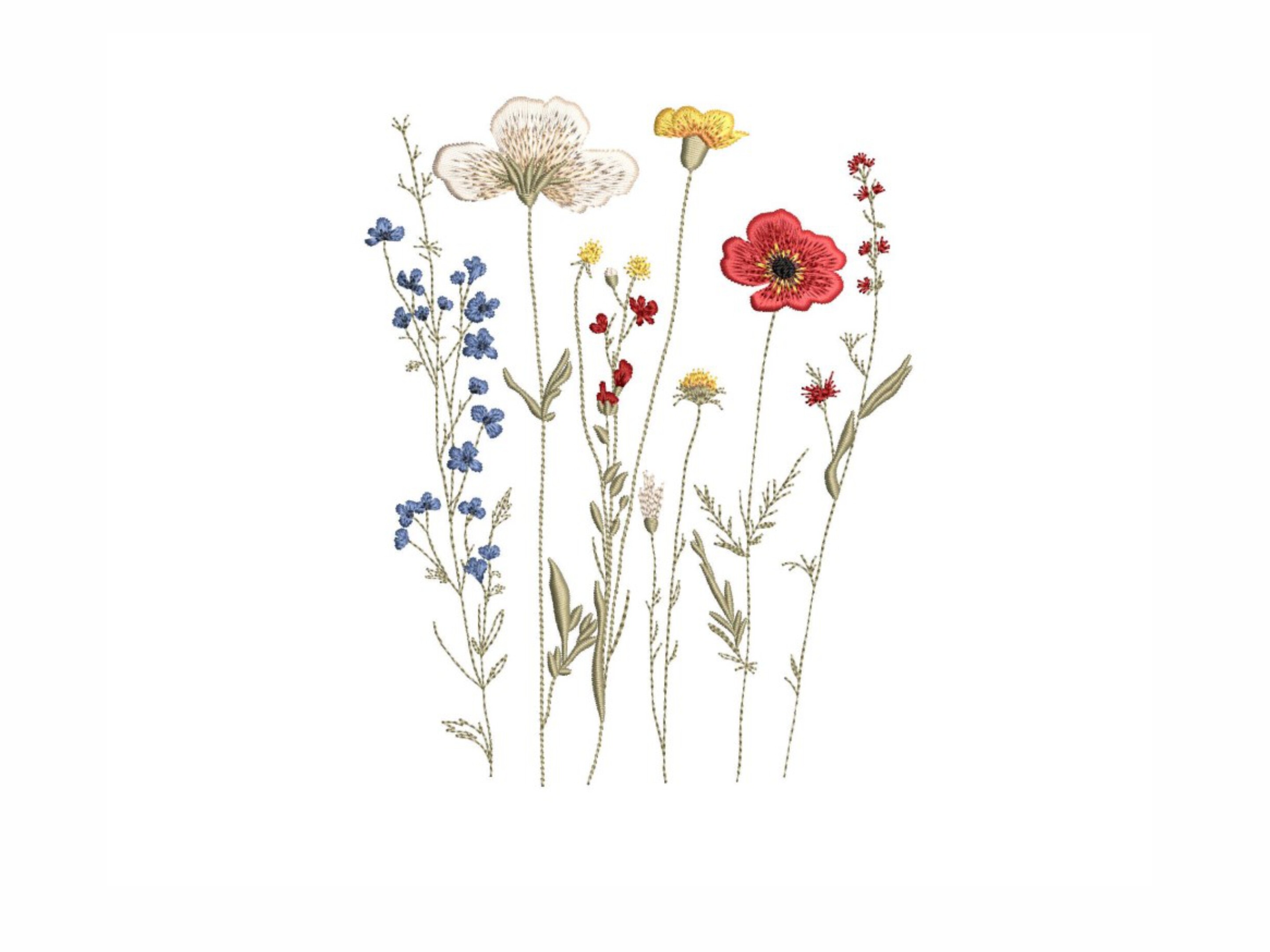 Wildflowers
