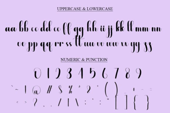 Beauty Font - Preview 4