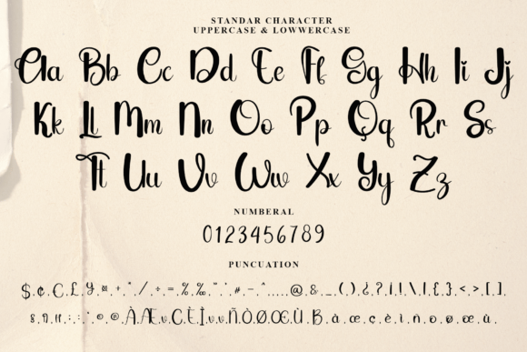 Fancy Font - Preview 3