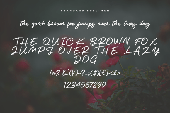 Marstina Font PNG with transparent background - Preview 1