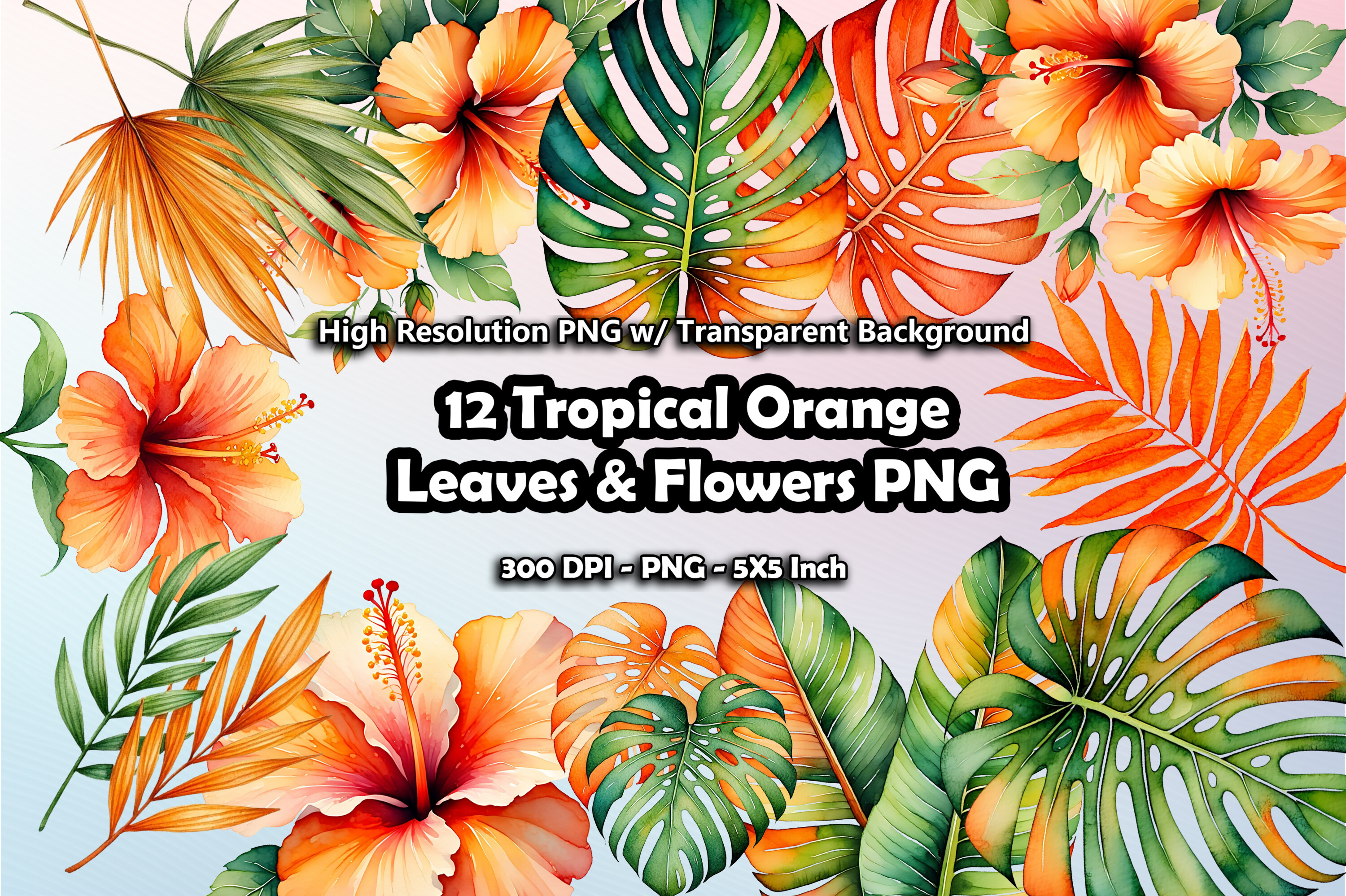12 Tropical Orange Leaves & Flowers PNG Graphic by printztopbrand ...
