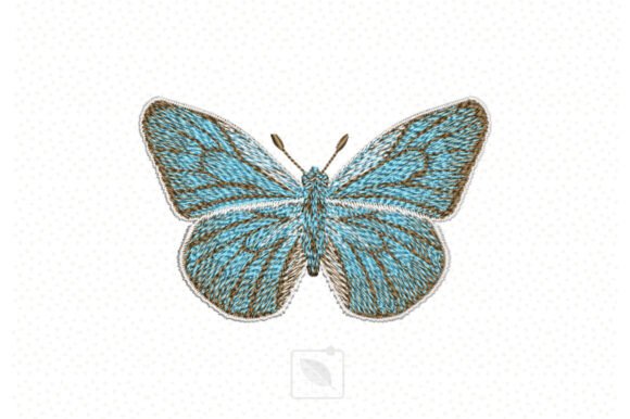 Blue Butterfly