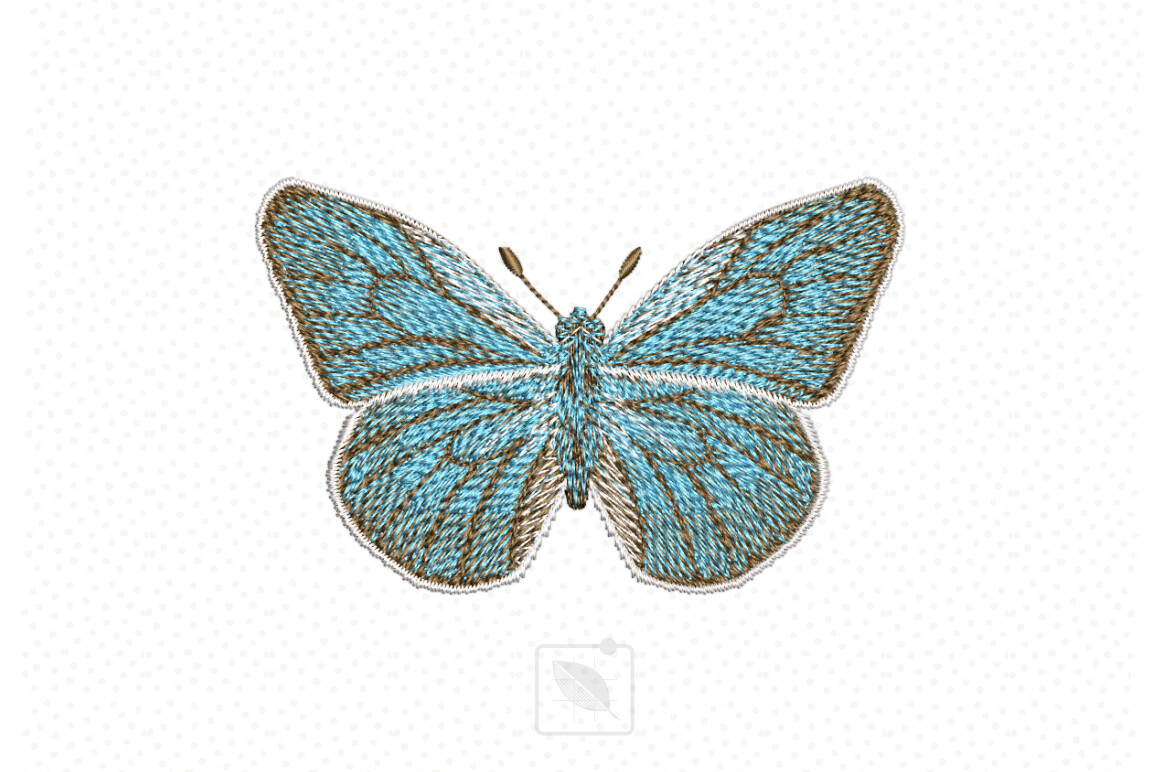 Blue Butterfly