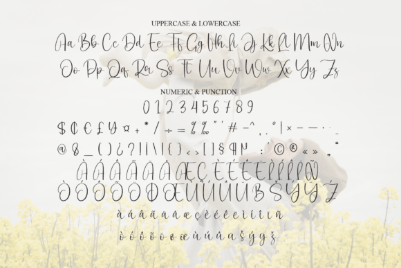 Delight Daddy Font - Preview 6