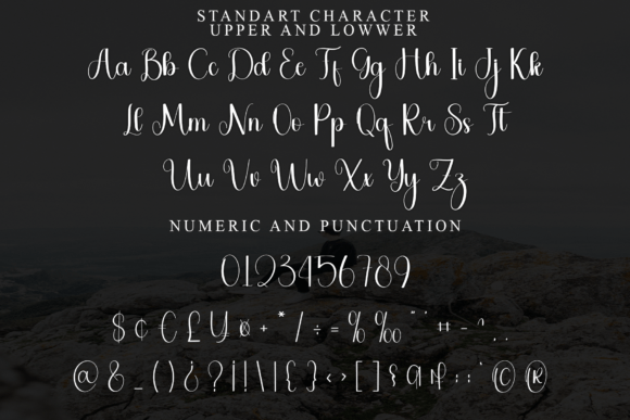 Homestay Font - Preview 3