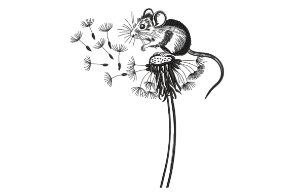 Mouse on Dandelion with Seeds