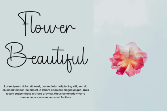 Sample Harmony Font PNG with transparent background - Preview 6