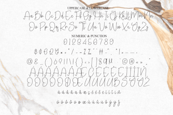 Elegant Font - Preview 6