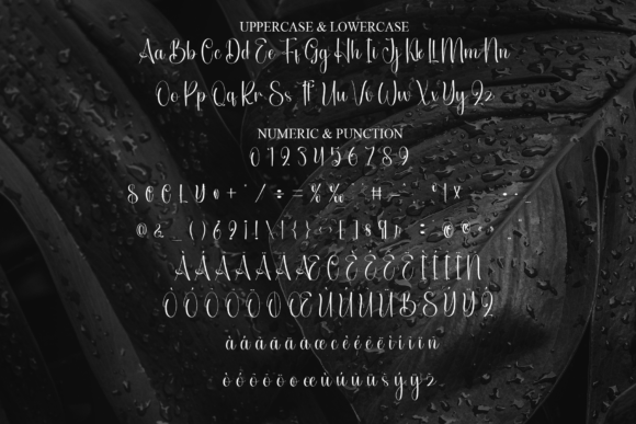 Black Sample Font - Preview 6