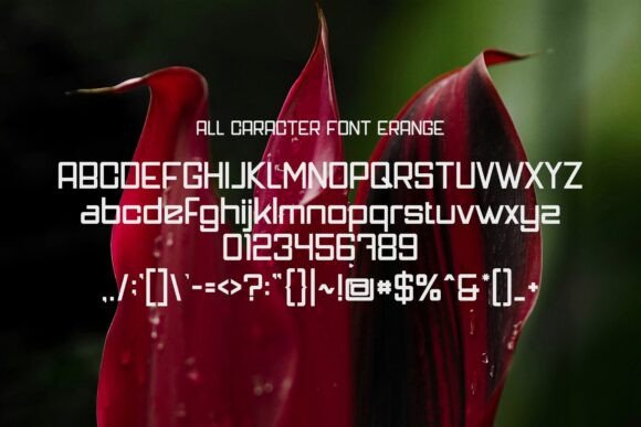 Erange Font - Preview 1