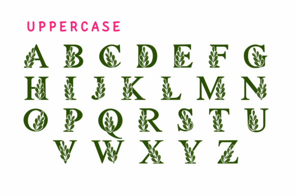 Love Leaf Font PNG with transparent background - Preview 1