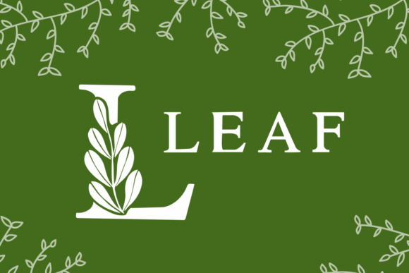 Love Leaf Font PNG with transparent background - Preview 5