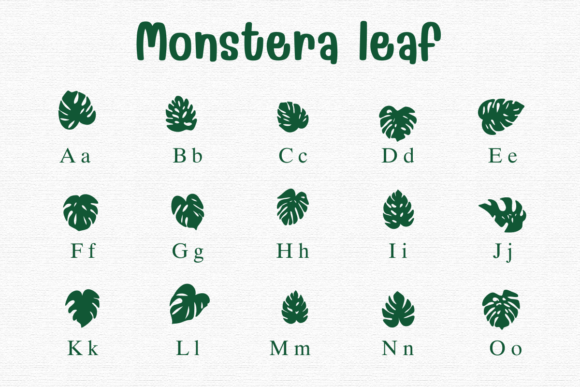 Monstera Leaf Font PNG with transparent background - Preview 1