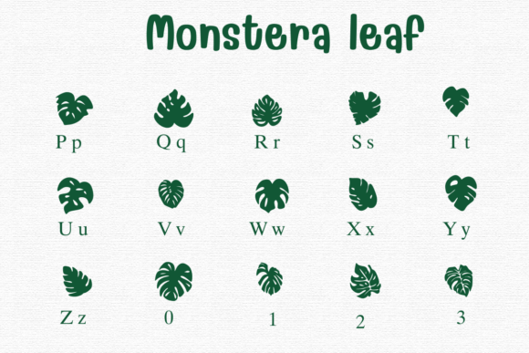 Monstera Leaf Font PNG with transparent background - Preview 2