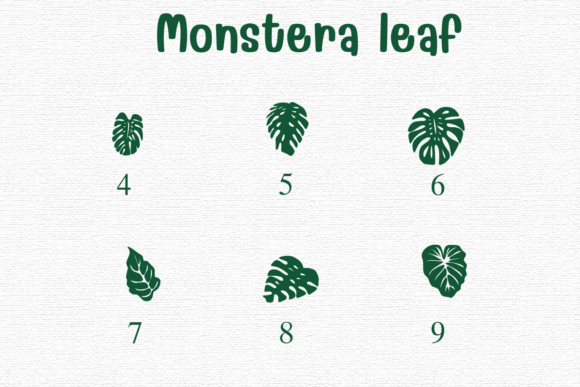 Monstera Leaf Font PNG with transparent background - Preview 3