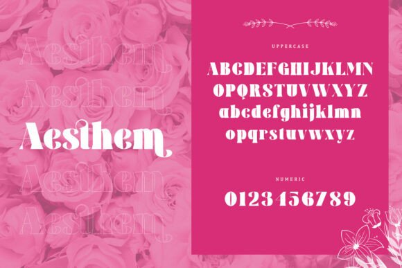 Aesthem Font PNG with transparent background - Preview 1