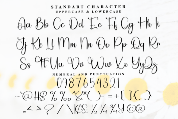 Angelina Signature Font - Preview 4
