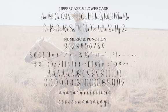 Cowboy Font - Preview 6