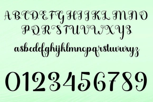 Daye Script Font - Preview 6