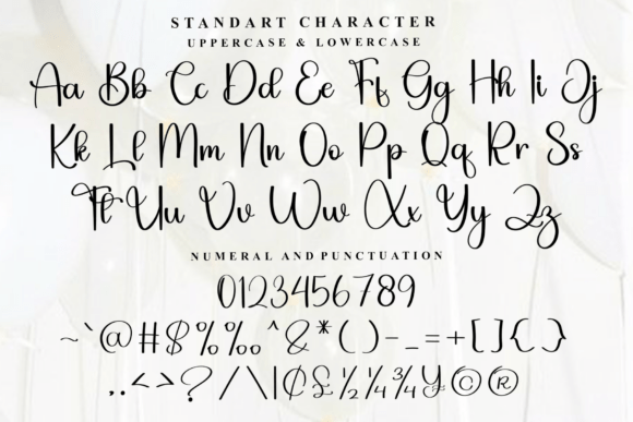 Beautiful Farmhouse Font - Preview 4