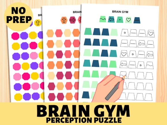Brain Gym Visual Perception Puzzle