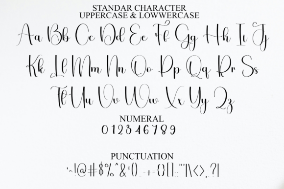 Elegant Alphabet Font - Preview 2