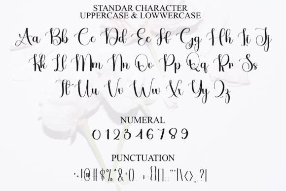 Angelia Signature Font - Preview 2