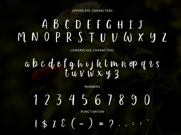 Lelayni Script Font PNG with transparent background - Preview 3