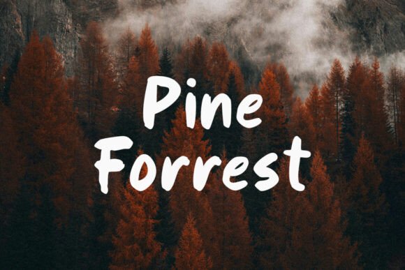 Oxford Vibes Font font preview - 3