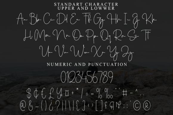 Adelia Signature Font - Preview 4