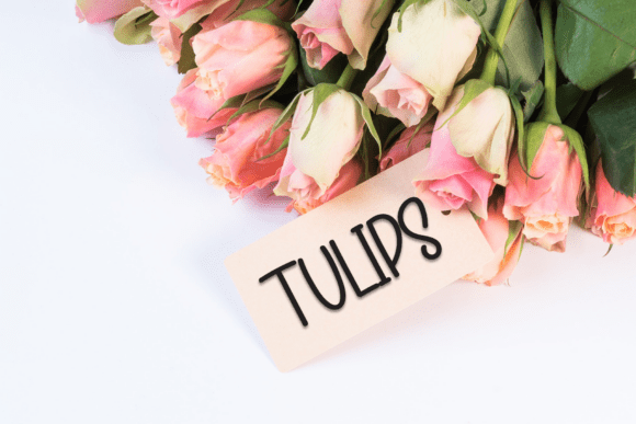 Bunny Spring Font - Preview 4