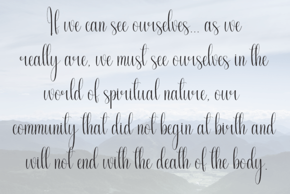 Butterfly Font - Preview 5