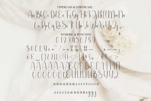Elegant Font - Preview 6