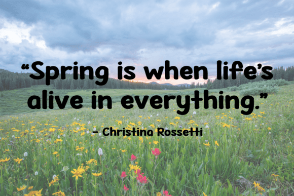 Middle of April Font PNG with transparent background - Preview 2