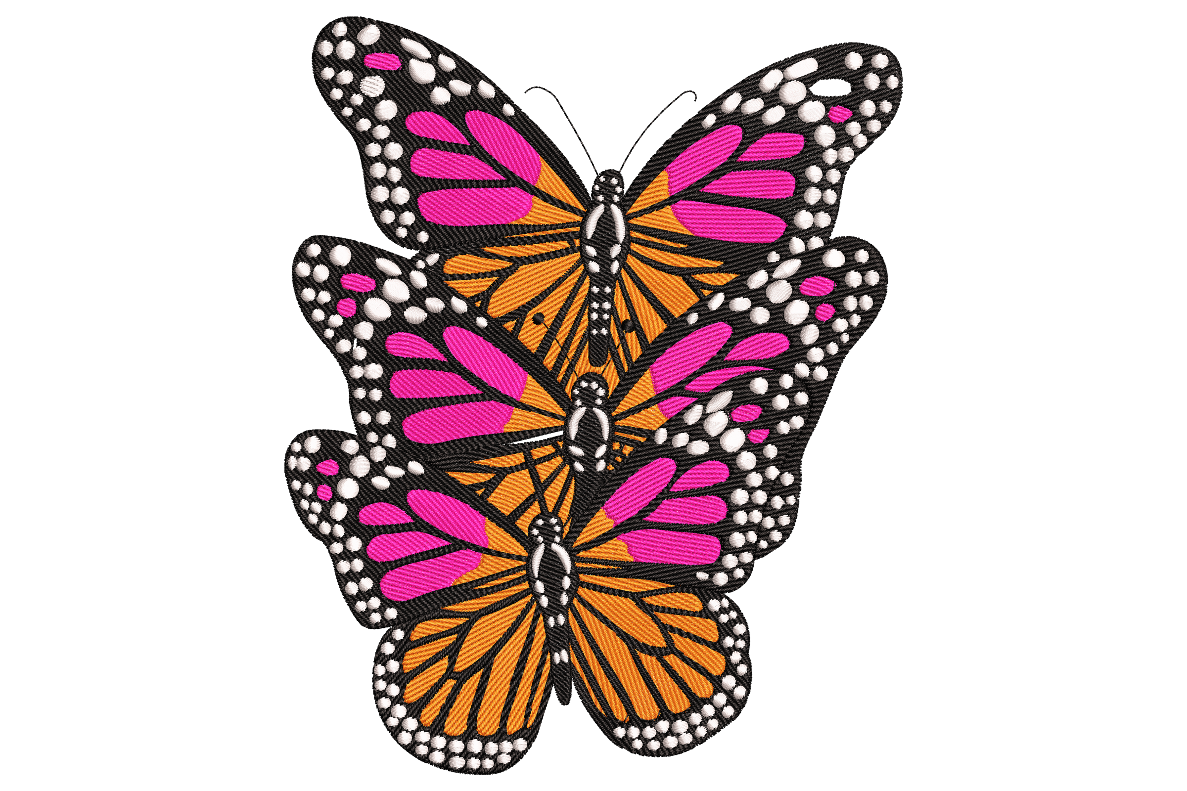Trio of Monarch Butterflies