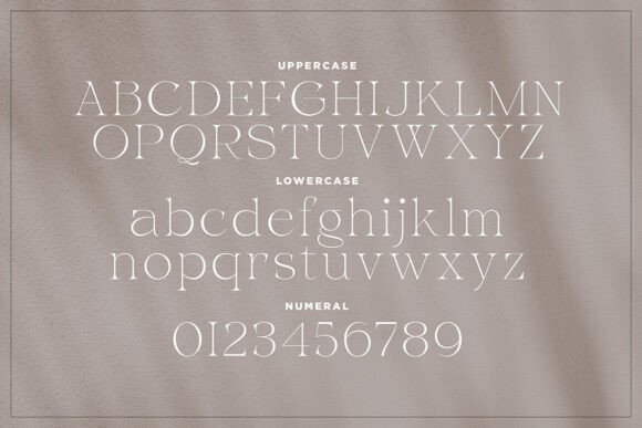 Anefity Font - Preview 1