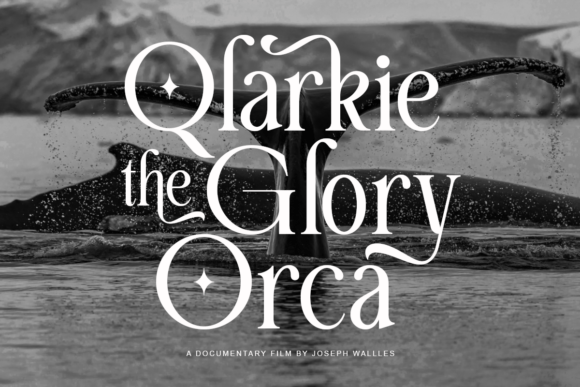 Carely Orches Font - Preview 1