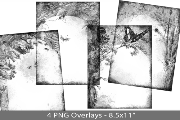 Distress Frame PNG Overlay