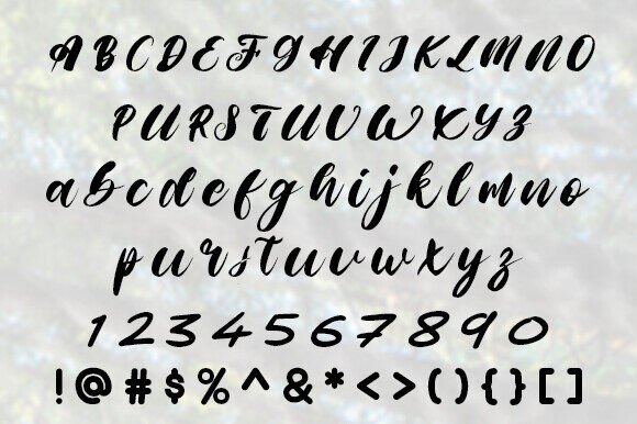 Farter Saes Font - Preview 1