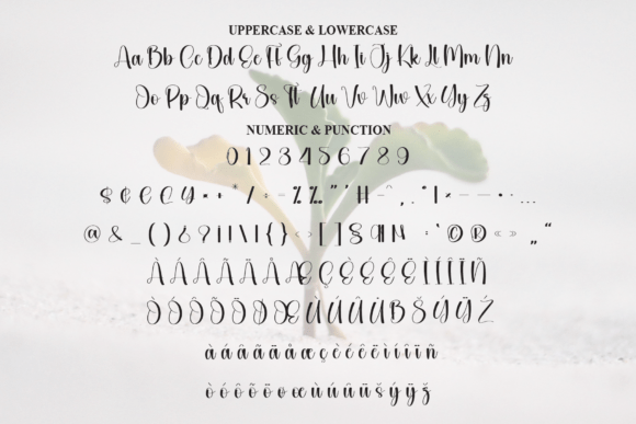 Growth Font - Preview 6
