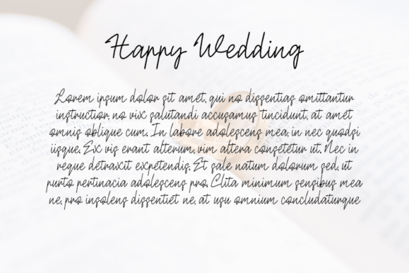 Happy Wedding Font - Preview 2